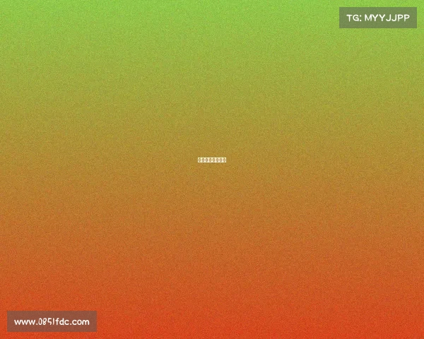 篮球都有什么赛事